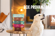 Binative Box Provami